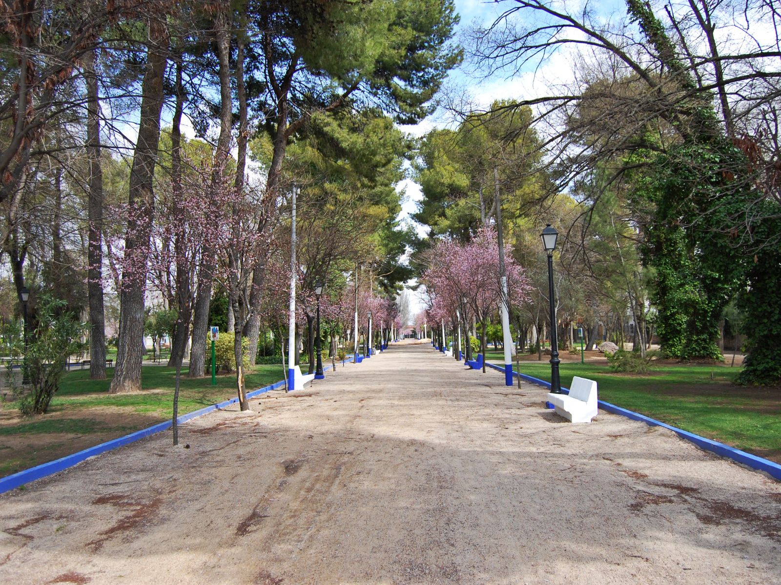 parque mmunicipal herencia